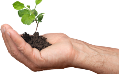 PERMA Model article and exercise