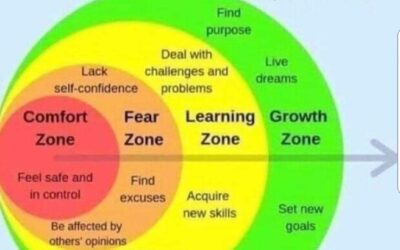 Comfort Fear Learning Growth Zones