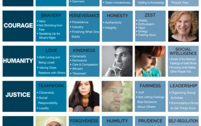 VIA Classification of 24 Strengths