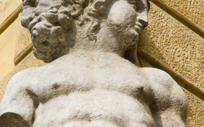  The Janus Effect – some questions to start your thinking process