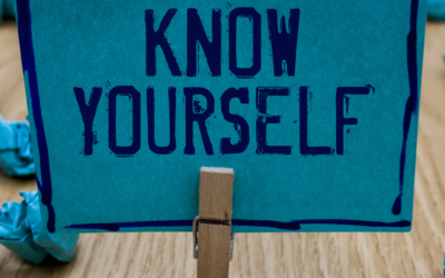 DISCovery – whistle-stop version to know yourself and others