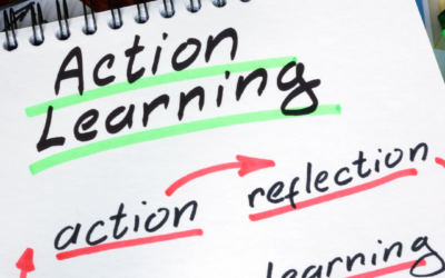 Action Learning for a virtual world