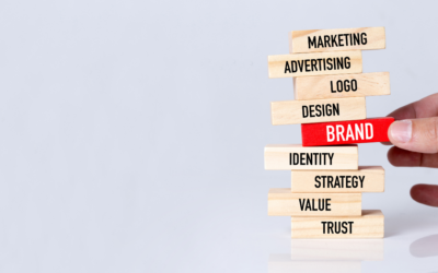 How to build your Brand Anatomy