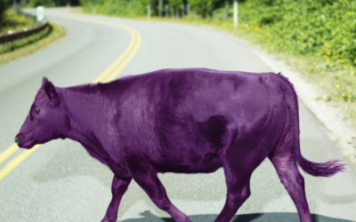 Transform Your Business by Being Remarkable