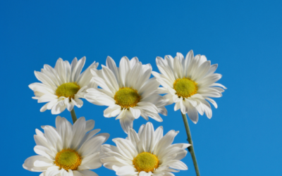 Power of 5 Good things