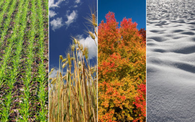 Using the cycles of the year