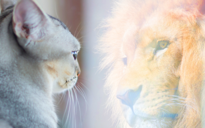 PEP THEM UP – bolster self esteem