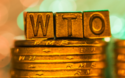 I’m a fighter – WTO apoints first woman first African chief