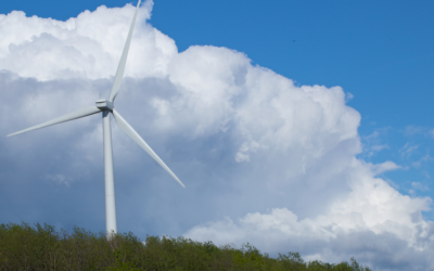 When words catch the winds of change