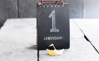 Leadership: Develop your Successful Style